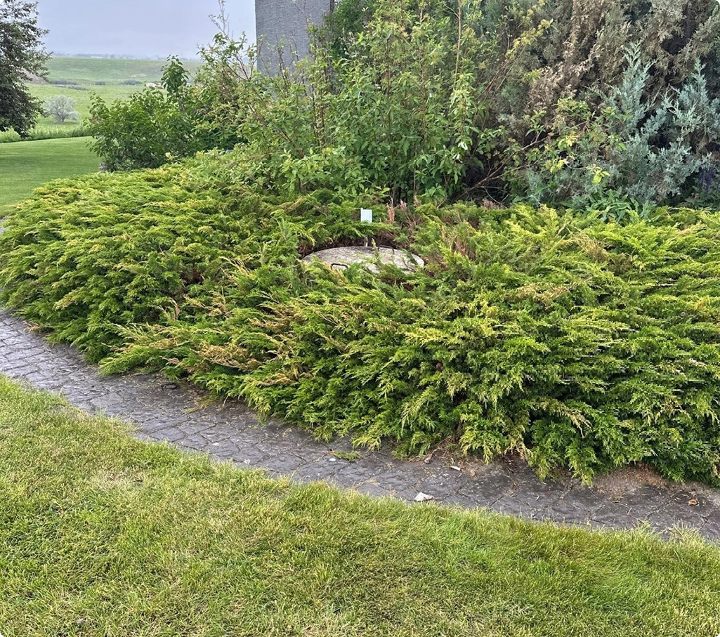 Rural commercial and industrial septic tanks intro
