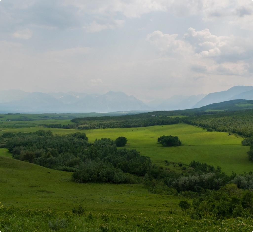 Alberta foot hills