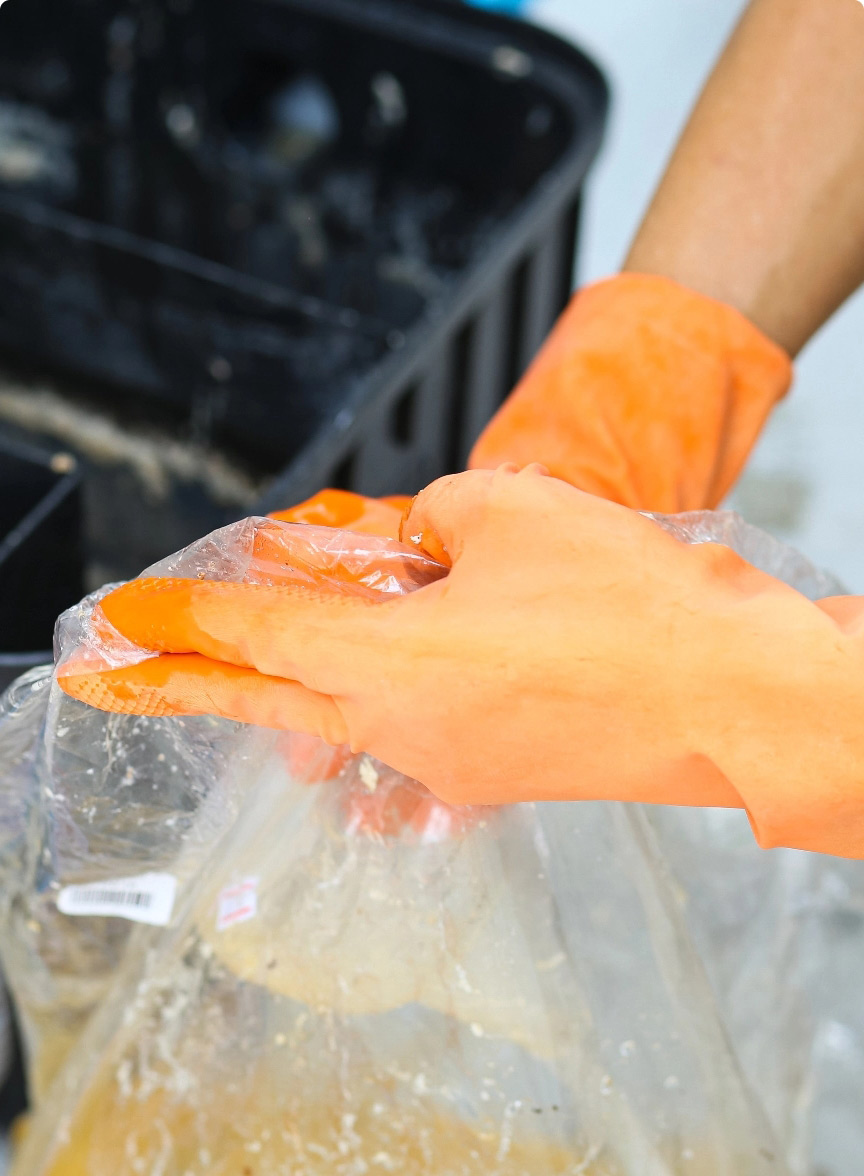 Grease trap cleaning 1