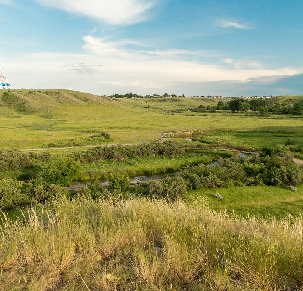 Green landscape